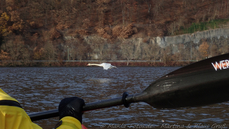 Kajak20181201-124631.jpg