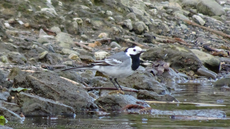 Kajak20190416-171206.jpg