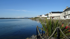 DSC01126.jpg