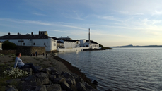 DSC01134.jpg