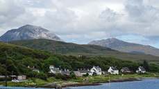 DSC01448.jpg