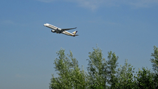 DSC02658.JPG