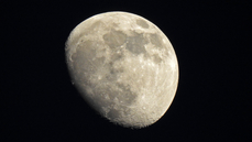 DSCN1267.JPG