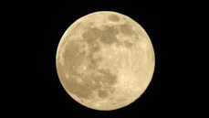 DSCN1298bbbb.jpg