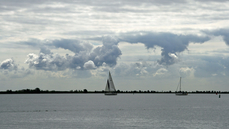 IMG_7788.jpg