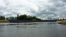 P1040317.JPG