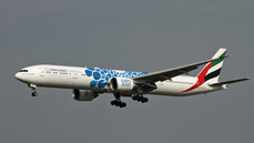 a6-ecc_28129.jpg