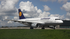 d-ailh.jpg
